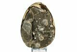 Septarian Dragon Egg Geode - Sparkly Black Crystals #308839-1